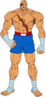 Sagat SF2