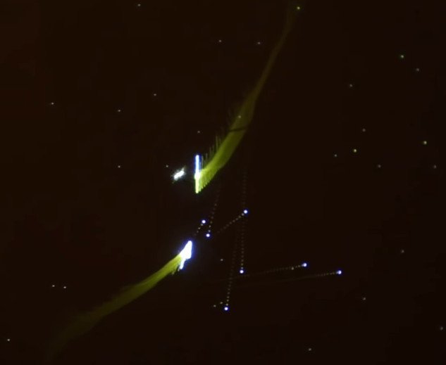 Spacewar, juego del torneo celebrado en Stanford en 1972